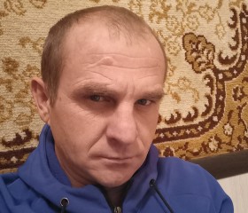 Александр, 43 года, Песчанокопское