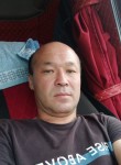 bolat Kamenov, 46 лет, Алматы