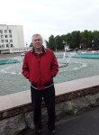 Виктор, 68 лет, Коломна