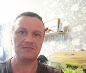 Владимир, 43 года, Ярославль