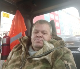 Николай, 46 лет, Норильск