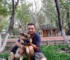 Дамир, 52 года, Алматы