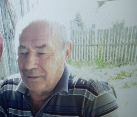 Васька, 68 лет, Володарск