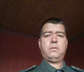 m iove ! n ! k, 54 года, Toshkent