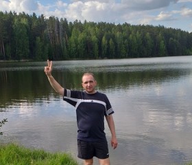 Андрей, 35 лет, Шемышейка