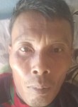 Herianto0263, 52 года, Padangsidempuan
