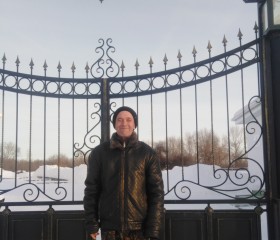 Андрей, 52 года, Шадринск