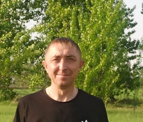 Алексей Буравлев, 41 год, Воронеж