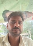 Rahul Kumar, 29 лет, Lucknow