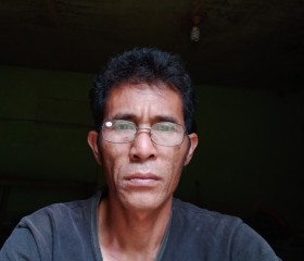 Langka sapura, 49 лет, Bengkulu