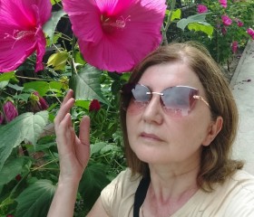 Zhanna, 51, Kolpino
