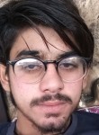 Sajid abbas, 19 лет, لاہور