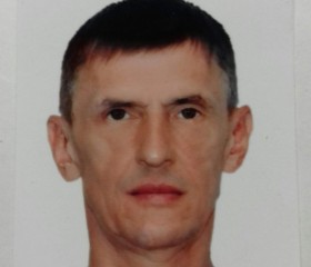 Дмитрий, 48 лет, Тольятти