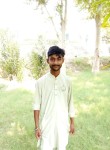 haider mashaki, 19 лет, حاصل پور