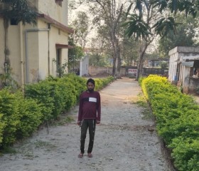 Sonu, 33 года, New Delhi