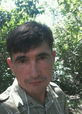 Олег, 49, Россия, Шигоны