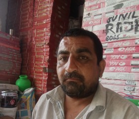 Rakesh, 42 года, Hamīrpur (Himachal Pradesh)