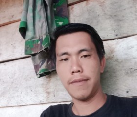 Udty, 26 лет, Sungai Penuh