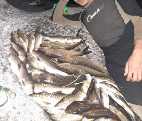 ฟิต, 30, Photharam