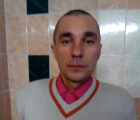 Сергей, 48 лет, Андреаполь