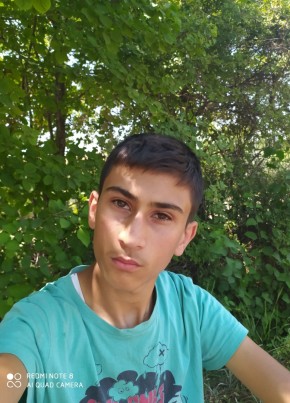 Ali, 21, Türkiye Cumhuriyeti, Sivrice