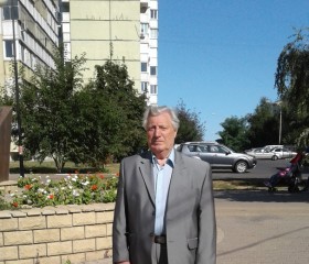 Виктор, 81 год, Белгород