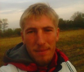 Николай, 29 лет, Новоминская