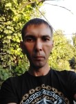 Андрей Гамаюнов, 43 года, Шымкент