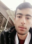 ihsan, 24 года, Viranşehir