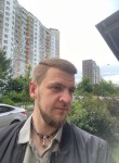 Dmitriy, 36, Zheleznodorozhnyy (MO)