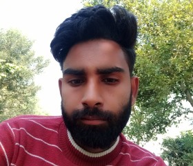 Ankit Kumar, 27 лет, Delhi