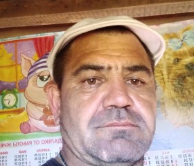 Аександр, 44 года, Воронеж