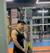 Bulut