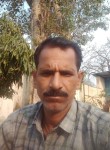 झगडू भरंगर, 43 года, Delhi
