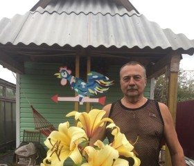 Сергей, 65 лет, Санкт-Петербург