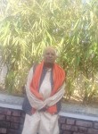 N  k  thakur, 40 лет, Darbhanga