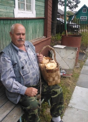 Сергей, 73, Россия, Шексна