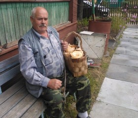 Сергей, 72 года, Шексна