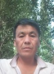 Илья, 40 лет, Toshkent