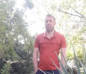 Дмитрий Акопов, 38 лет, Кировск