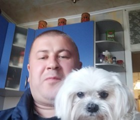 Анатолий, 41 год, Кременчук