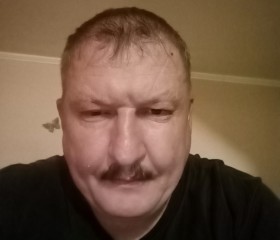 Dacianu alin, 48, Arad