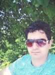 mustafa guler, 43 года, Seferhisar