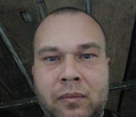 Сергей, 35 лет, Ольховатка