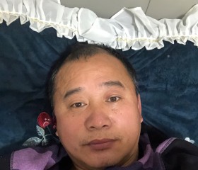 杨冬梅, 52 года, 怀远城关镇