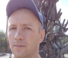 Александр, 42 года, Новошахтинск