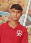 Shital Prasad, 20 лет, Pune
