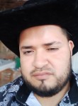 Jose, 27 лет, San José el Alto