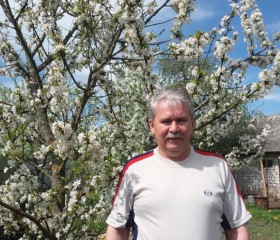 Сергей, 54 года, Бабруйск