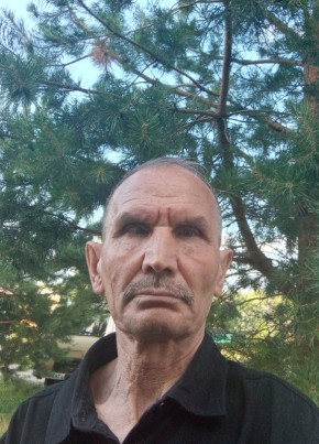 Андрей, 64, Россия, Кугеси